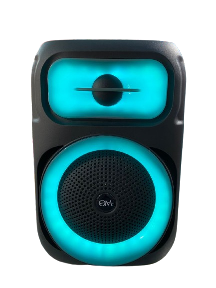 PARLANTES DE 8 PULGADAS